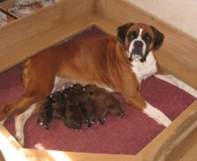 Emma & Babies at 3 days (December 2008)