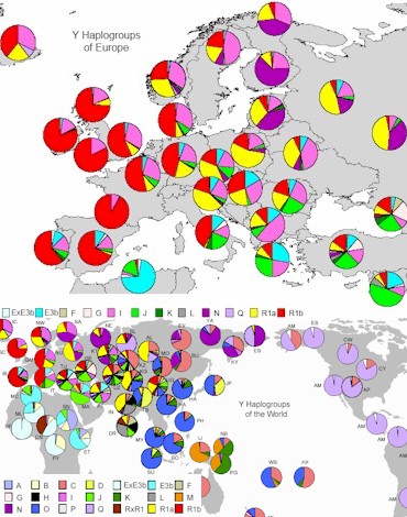 Haplogroup Map