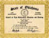 police2.jpg (29164 bytes)
