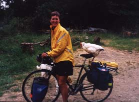 Free range chicken goes for a bike ride