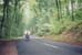 Typical forest road in Luxembourg