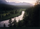 Blue Creek near Topaz campsite. Jasper National Park.