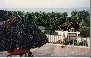 View of the Banderas Bay from the roof terrace. Gotta love those palm trees.
