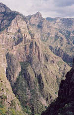Canyon view on the Batopilas to Urique hike.
