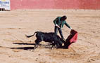Bullfighting at Zacatecas.