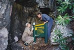 Sheila and Barb painting up a storm on Kapiti Island 