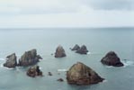The Nuggets in the Catlins
