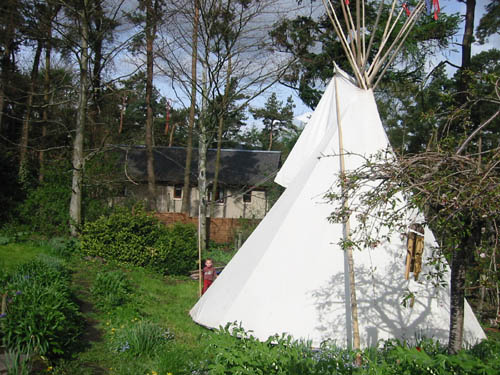 link to tipi site