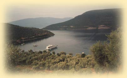 Vatikilo