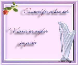 vnner p ntet!