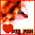 American Pie 1 & 2 Fan