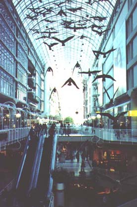 Eaton Centre geese