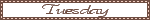 Transparent Background