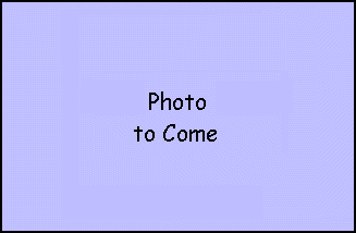 Photo to come