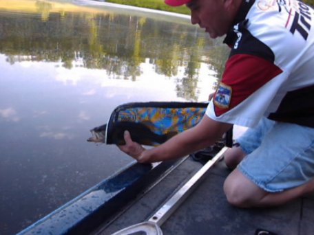 Releasing the fish