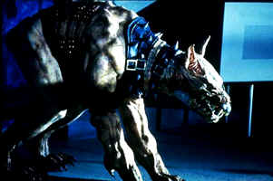 Cachorrinho.jpg (9651 bytes)