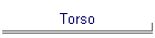 Torso