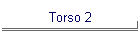 Torso 2