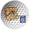 custom ball with Dog Logo