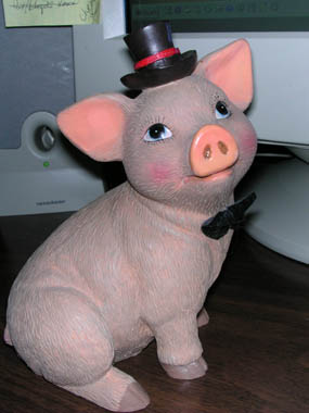 Dressy Pig