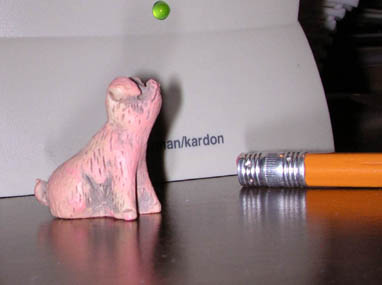 Snooty Pig