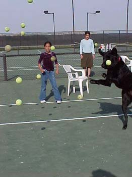 dogballs005s