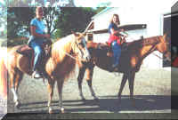 Horses.JPG (92578 bytes)