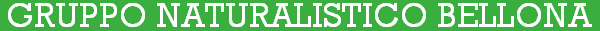 Gruppo Naturalistico Bellona