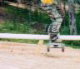 FS Boardslide in SC
