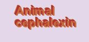 cephalexin