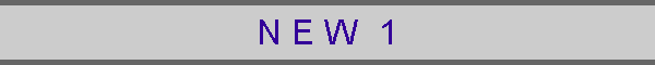 N E W  1