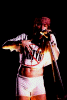 1061.jpg (12814 bytes)