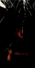 1081.jpg (17852 bytes)