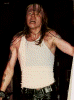 1085.jpg (33594 bytes)