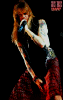 1120.jpg (22083 bytes)