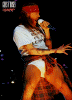1135.jpg (35336 bytes)