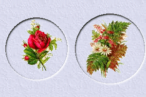 grafikbild.gif