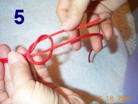 step 5