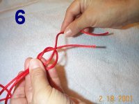 step 6
