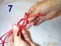 step 7