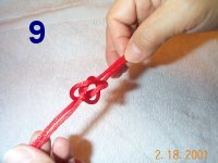 step 9