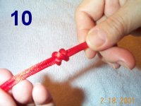 step 10