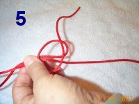 step 5