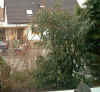 steffen_nebenan2.jpg (128127 Byte)
