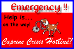 Get Help NOW!