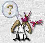 goat newbies go here