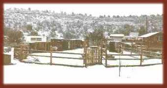 the snow in Rimrock
