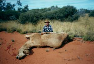 Camel_desert1_300.jpg (10342 bytes)