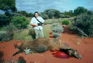 JC_Camel_300.JPG (9932 bytes)