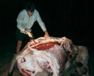 camel_butchering_300.jpg (21127 bytes)